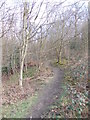 Woodland Track - Shay Lane