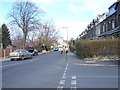 Leylands Lane - viewed from Leylands Terrace