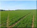 SU4544 : Farmland, Longparish by Andrew Smith