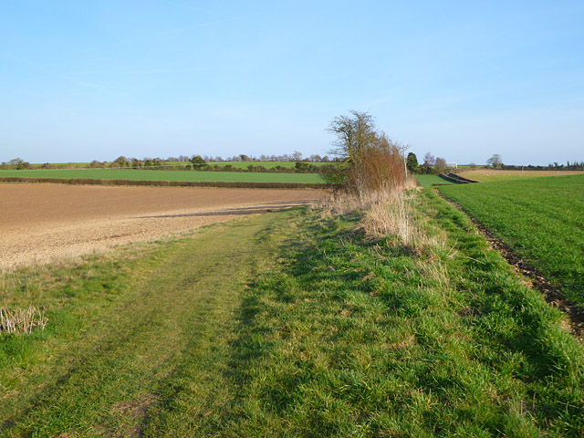 Farmland, Wonston