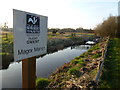 Magor Marsh wildlife reserve, Magor, near Newport