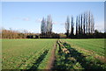 Footpath to Hubbard