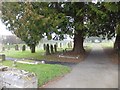 Chudleigh cemetery 