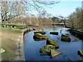 Above the Cascade Weir at Cannon Hall Country Park