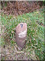 Milestone 7, Arran