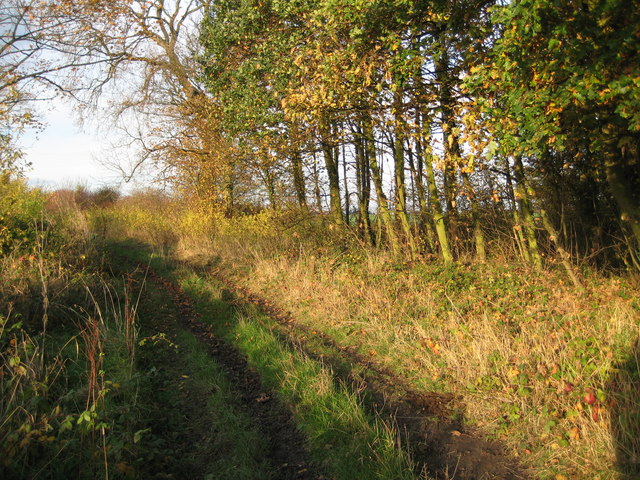 Longhedge Lane in early autumn