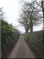 A lane with banks leading to Gappah Cross 