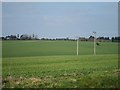 Crop fields south of Eastry