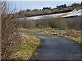 Camel Trail at Wenford Dries