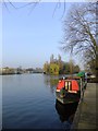 Moorings near Cherry Orchard Road, West Molesey