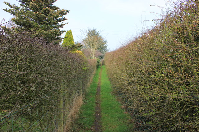 Footpath by Wornish Hall Farm