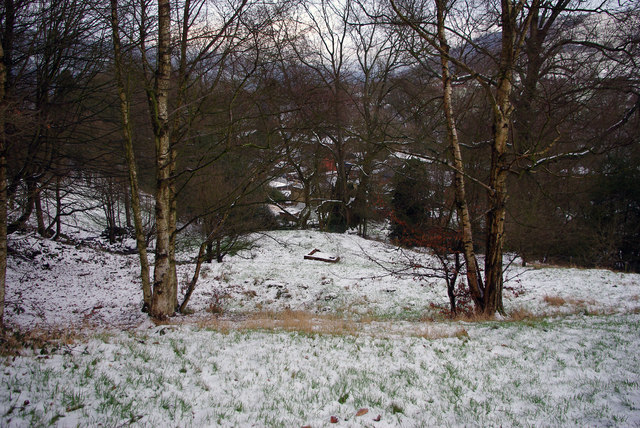 Open area within Martin Wood, Mytholmroyd