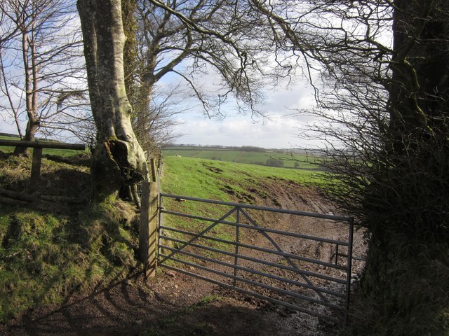 Gate into field, Norwood Common