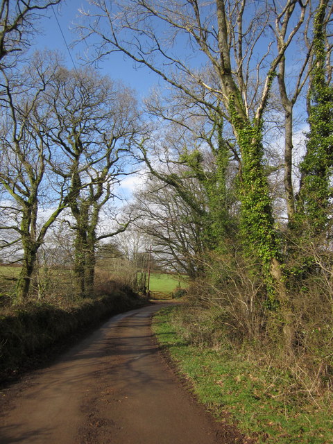 Lane near Huntsham Castle