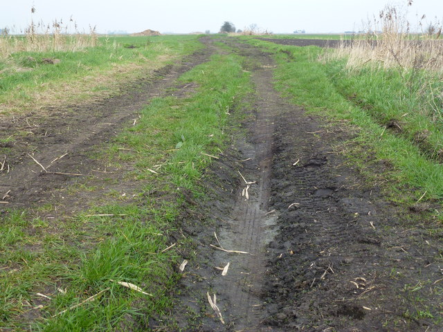 Green lane or dirt track?