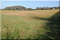 Farmland at Bosbury