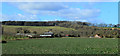 2012 : Field of oilseed rape near Wotton Rivers