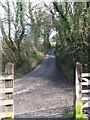 The road to Polbrock from Polbrock Bridge