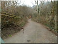 Path into woodland, Cwmfelinfach