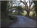 Bridge north of Treliver 