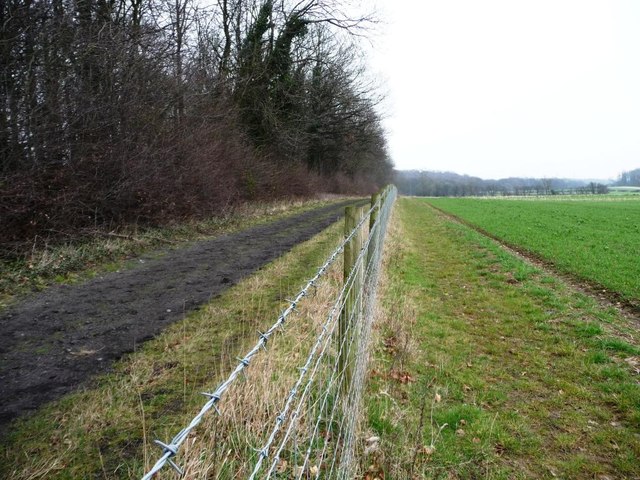 Fenced gallop alongside Long Plantation