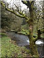 Beresford Dale, River Dove