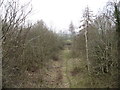 Site of an old rail track, now a walkway