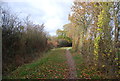 Bridleway by Bewbush