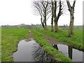 Reflections, Kilcootry