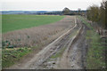SU5052 : Footpath / farm track by Mr Ignavy