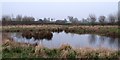 Wildlife pond at Streetlam