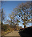 Road across Hawtree Moors