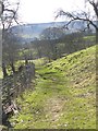 Footpath to Aysgarth