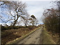 View back up the lane