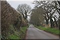 South Somerset : Camp Road