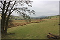 Rough pasture Hollowcowhey Farm