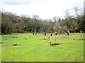SO9975 : The New Community Orchard Lickey Hills by Roy Hughes