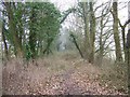 Looking SE along the Crab & Winkle Way