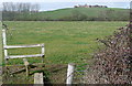 Towards Chiltonpark Farm