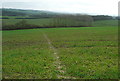 View from Chiltonpark Farm