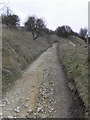 Pathway up Juniper Hill