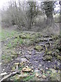 Tributary of the Painswick Stream