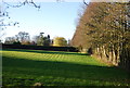 Field, Lyewood Farm