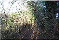 Footpath to The Quarries