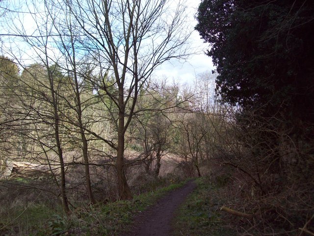 The Archaeological Way In Markland Grips © Jonathan Clitheroe Cc-by-sa 