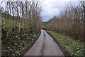 West Somerset : Country Road