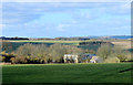 2012 : North east from Manton Drove