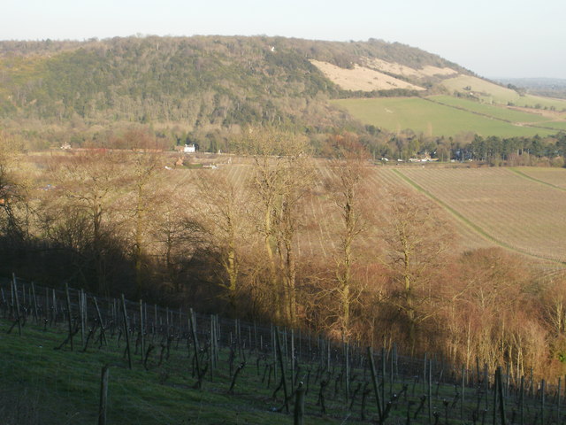 Box Hill seen from part of the North Downs Way