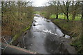 The River Darwen approaching Witton Park