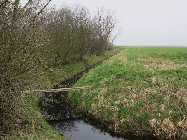 Ditch on Snoots Common